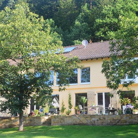 Annettes Pfalz Hinterweidenthal Экстерьер фото